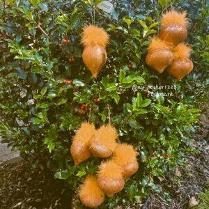 *𝓥𝓲𝓷𝓽𝓪𝓰𝓮 Y2K Holiday Glitter Teardrop Ornaments Orange (3 Pieces)